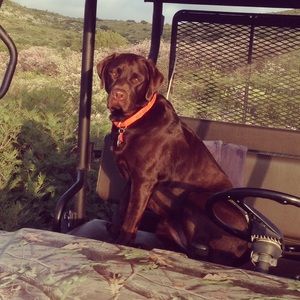 Meet your Posher, Matt